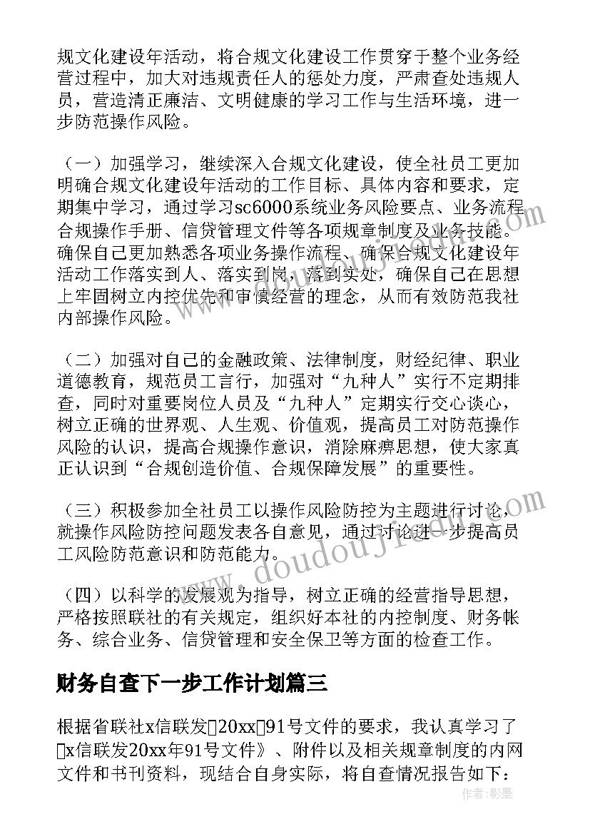 最新财务自查下一步工作计划(实用5篇)