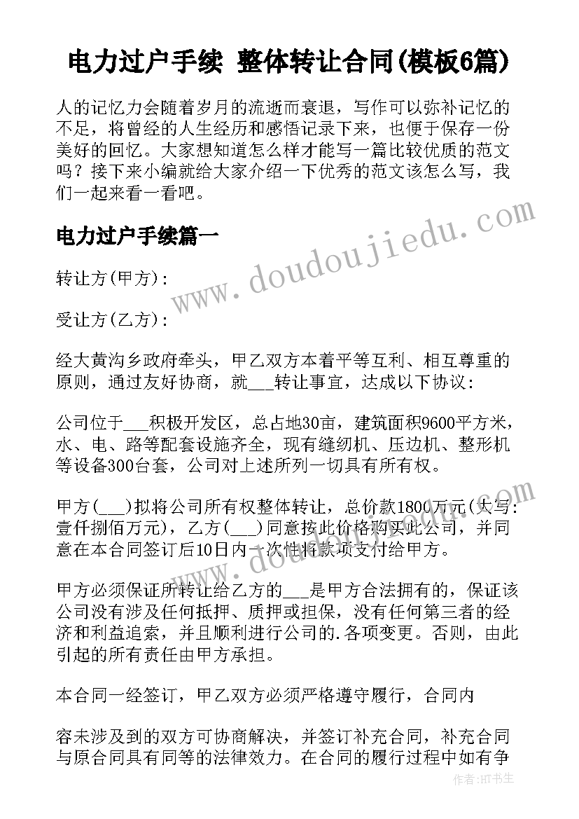 电力过户手续 整体转让合同(模板6篇)