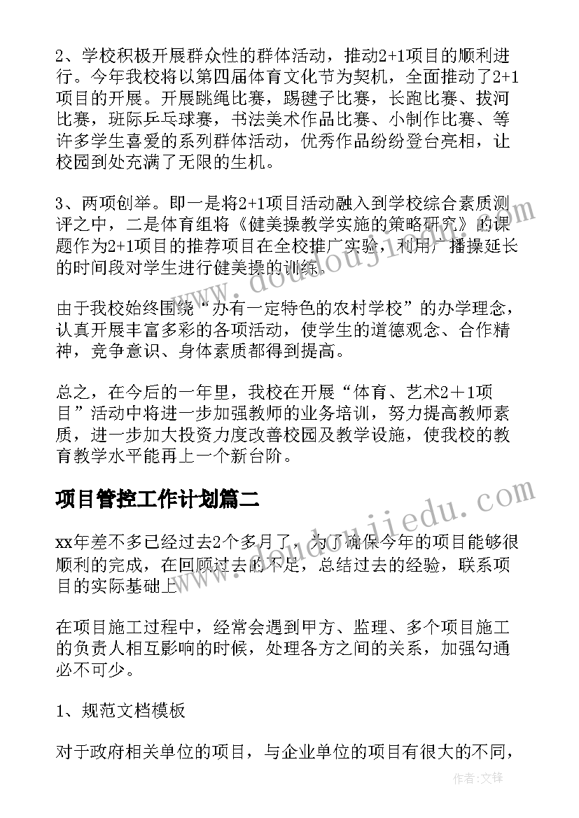 项目管控工作计划(汇总5篇)