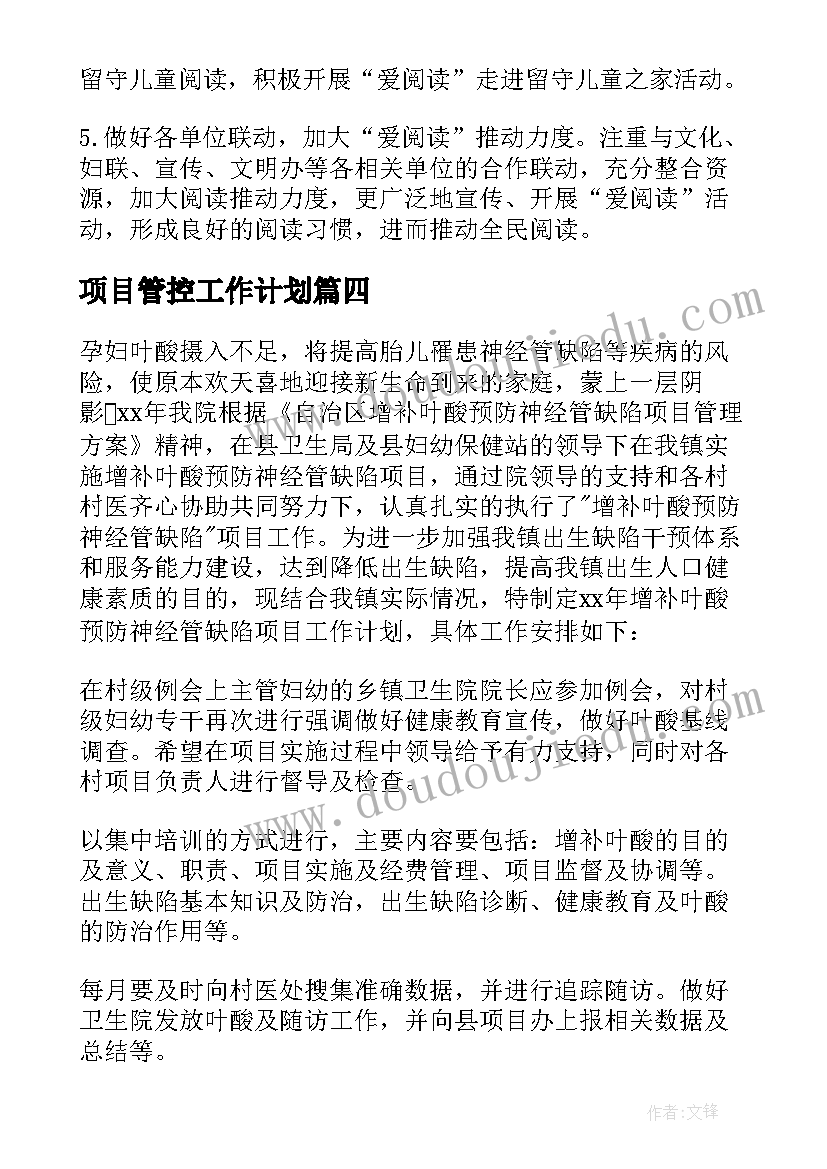 项目管控工作计划(汇总5篇)