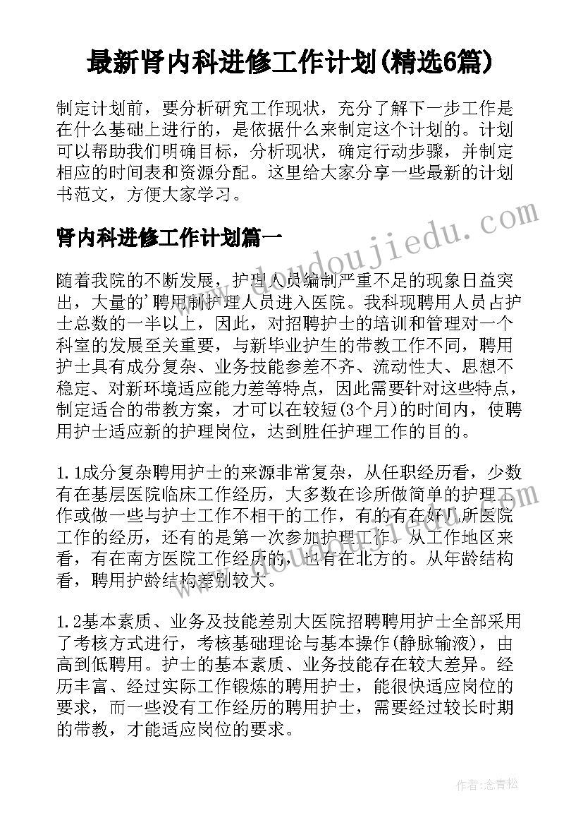 最新肾内科进修工作计划(精选6篇)