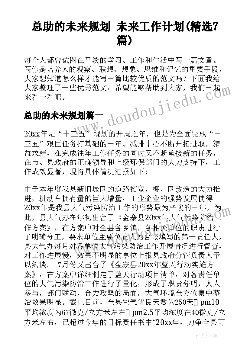 总助的未来规划 未来工作计划(精选7篇)