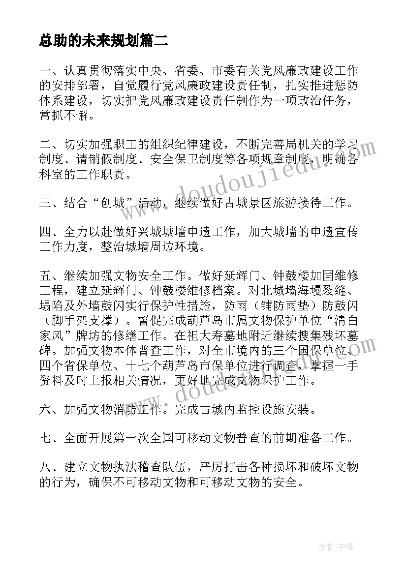 总助的未来规划 未来工作计划(精选7篇)