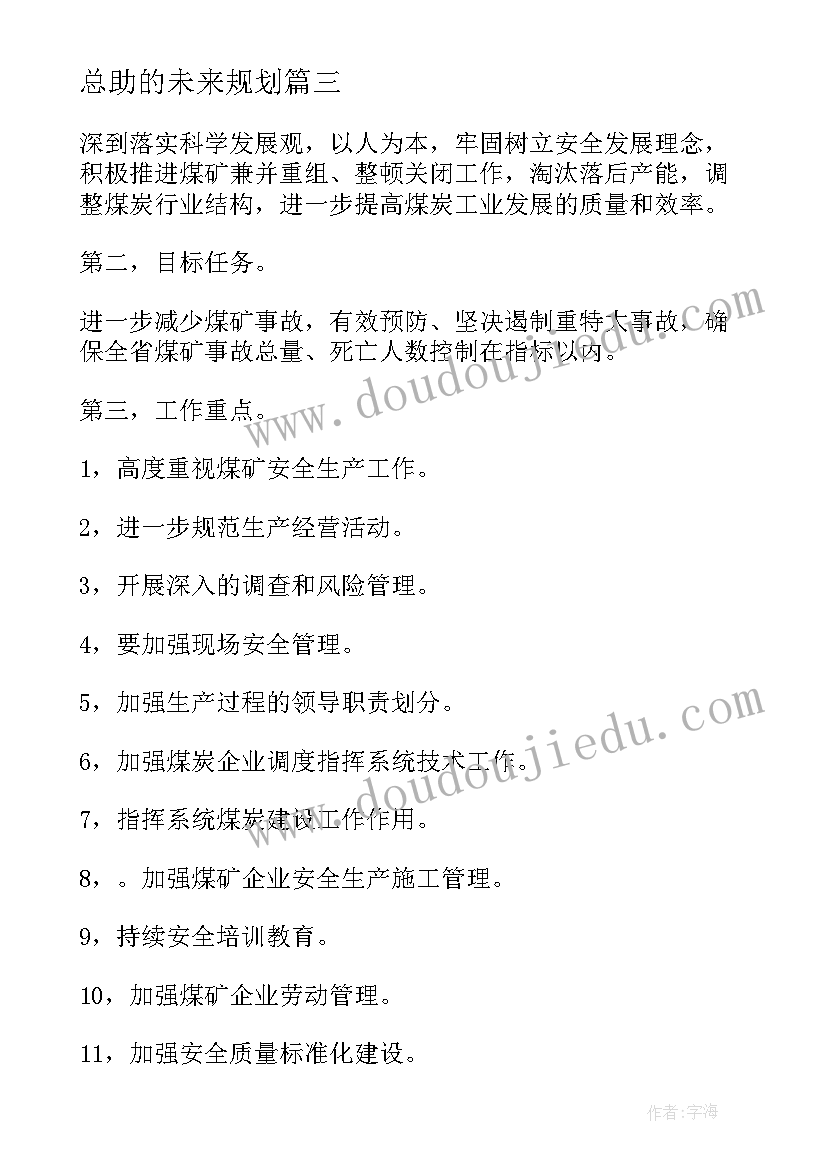 总助的未来规划 未来工作计划(精选7篇)