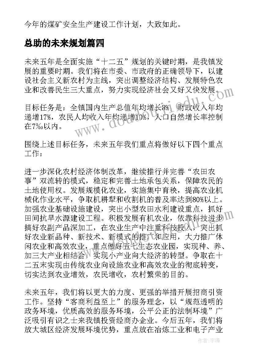 总助的未来规划 未来工作计划(精选7篇)