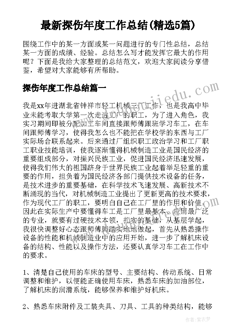 最新探伤年度工作总结(精选5篇)