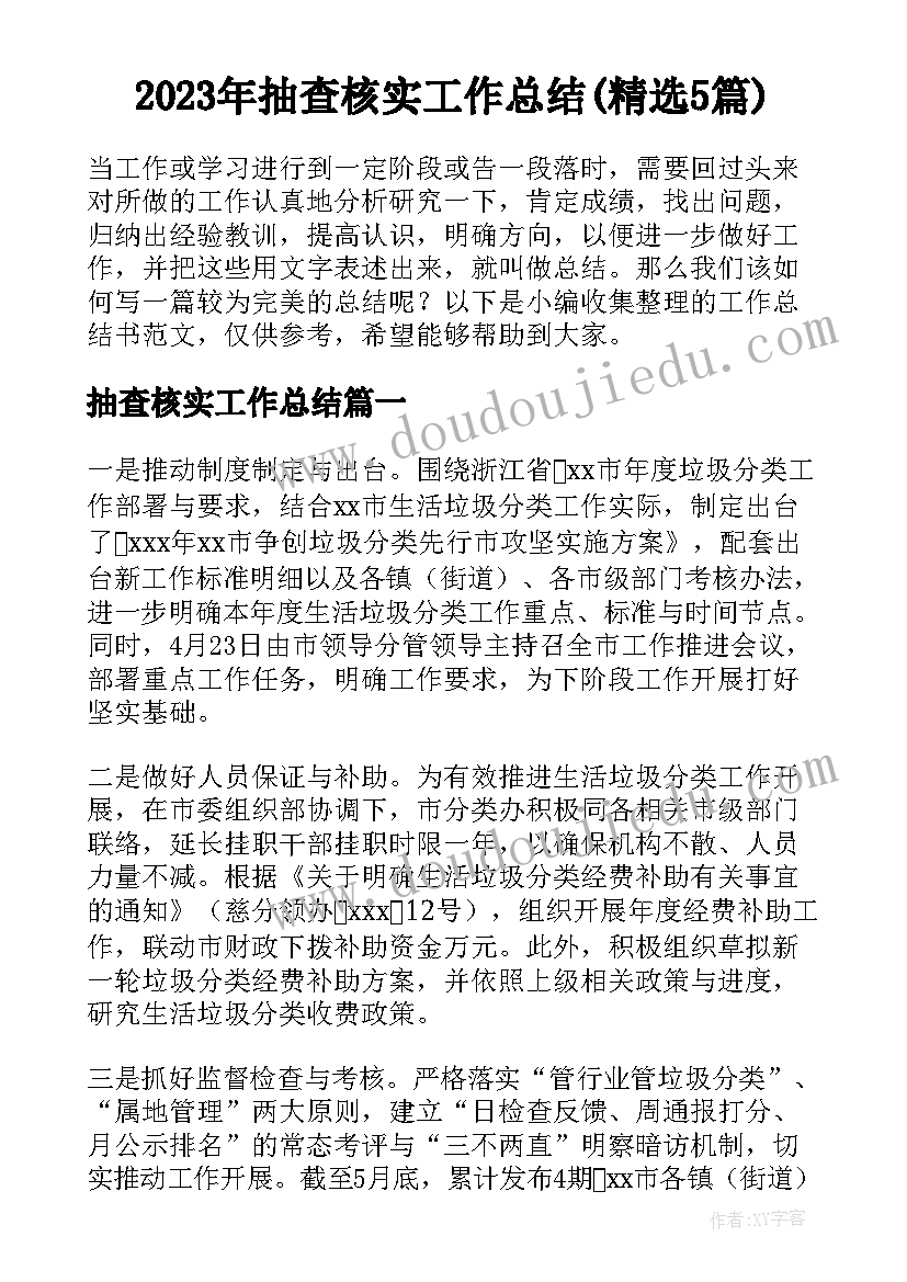 2023年抽查核实工作总结(精选5篇)