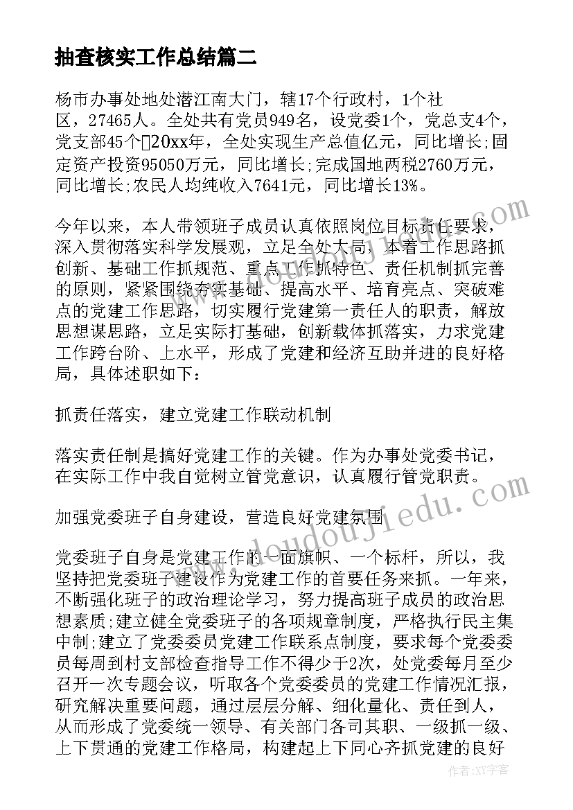 2023年抽查核实工作总结(精选5篇)