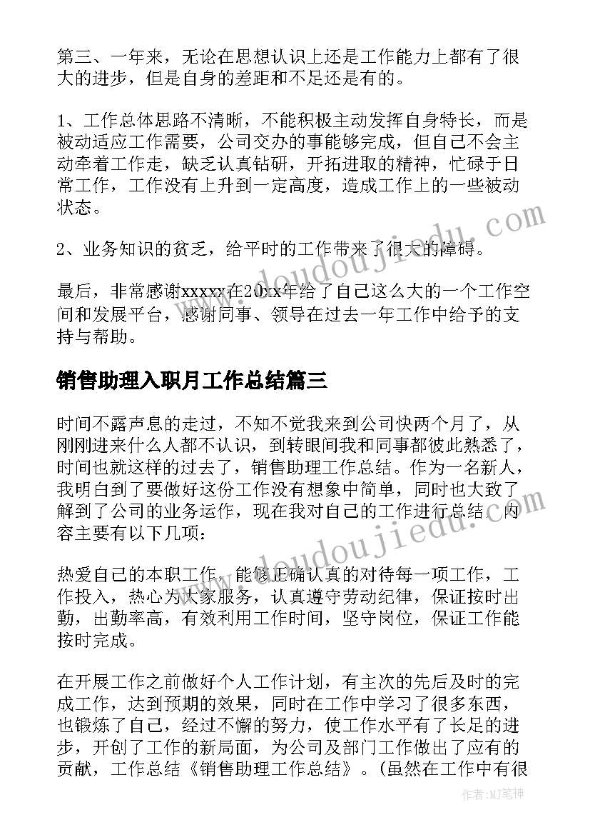 销售助理入职月工作总结(汇总5篇)