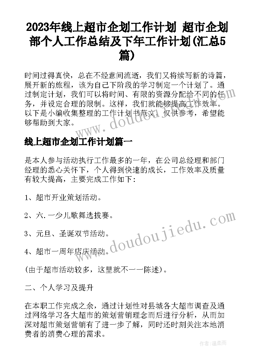 2023年线上超市企划工作计划 超市企划部个人工作总结及下年工作计划(汇总5篇)