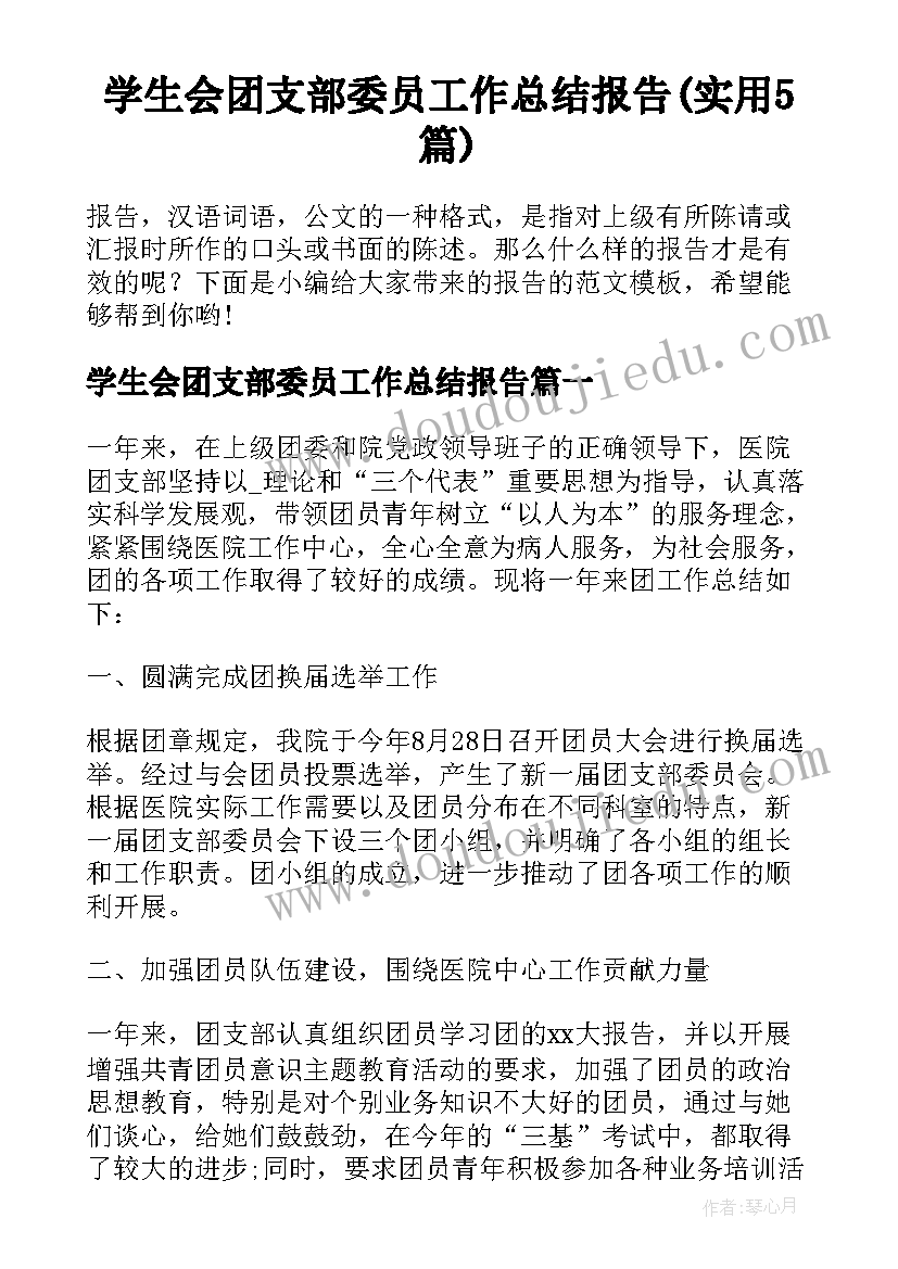 学生会团支部委员工作总结报告(实用5篇)