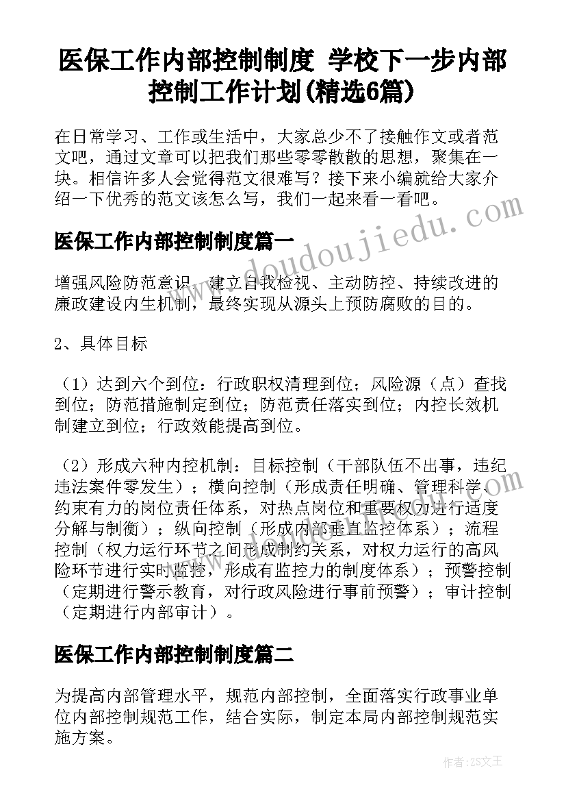 医保工作内部控制制度 学校下一步内部控制工作计划(精选6篇)