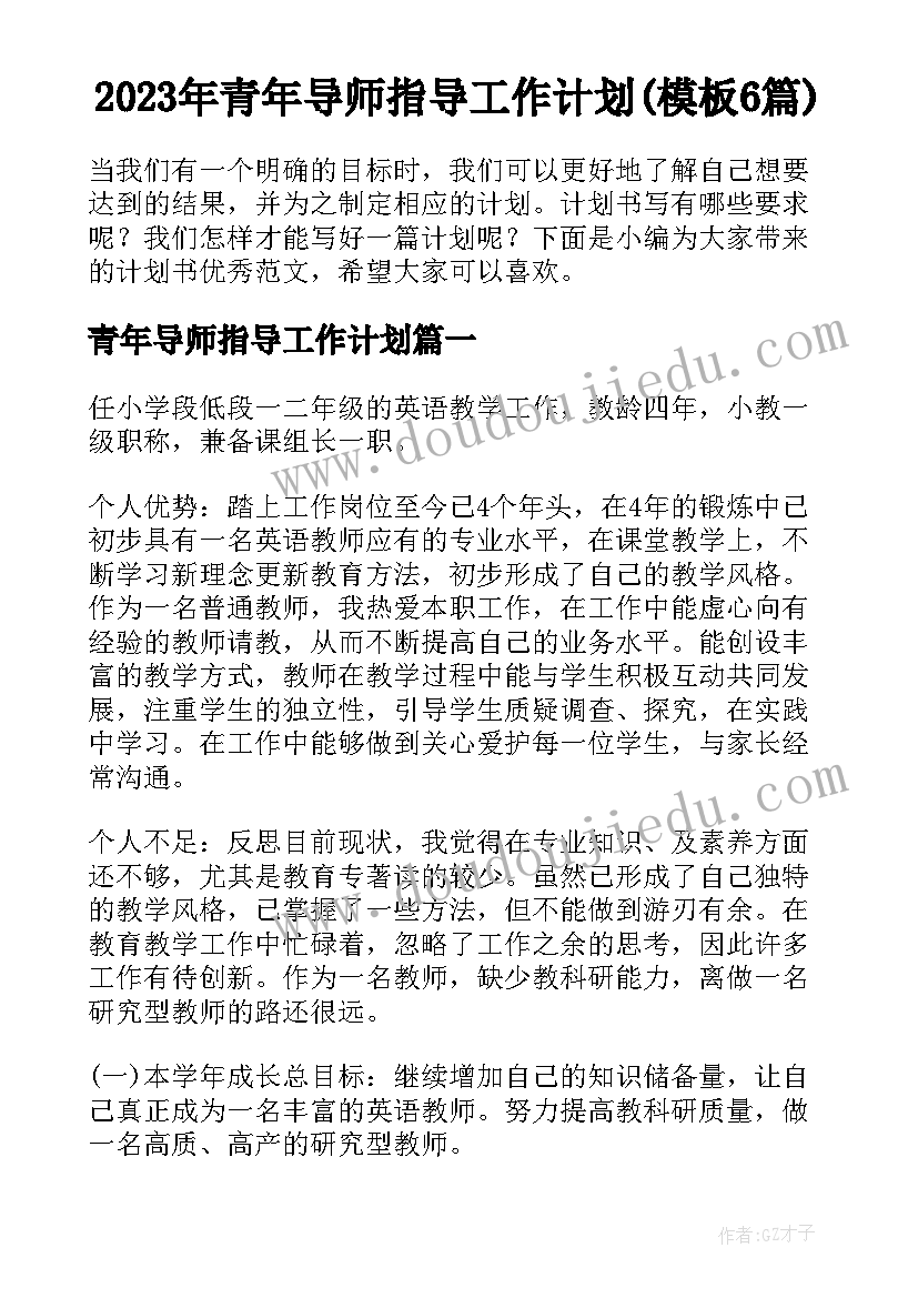 2023年青年导师指导工作计划(模板6篇)