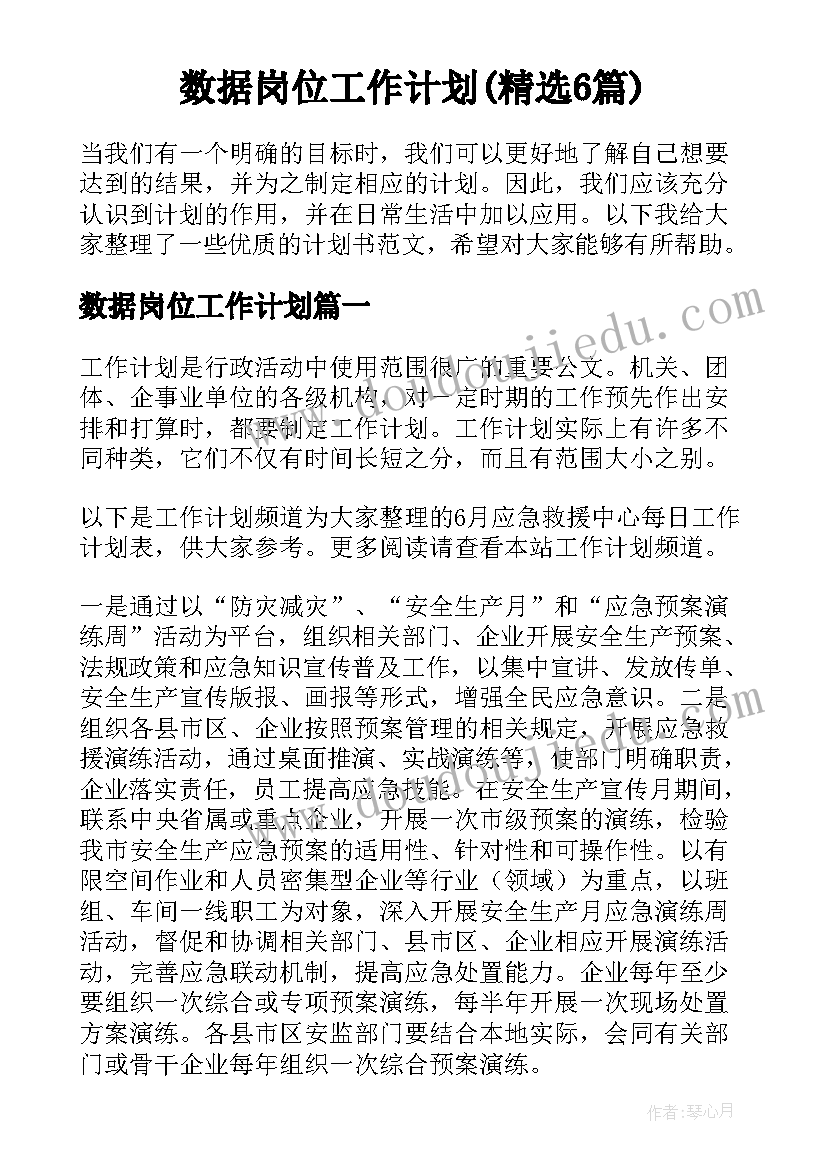 数据岗位工作计划(精选6篇)