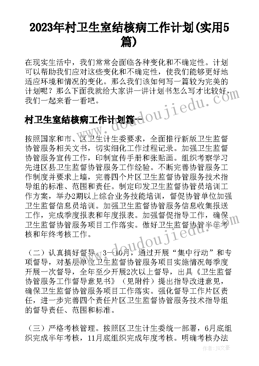 2023年村卫生室结核病工作计划(实用5篇)