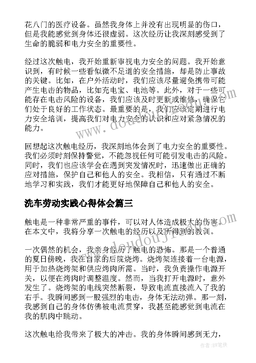 2023年洗车劳动实践心得体会(汇总5篇)