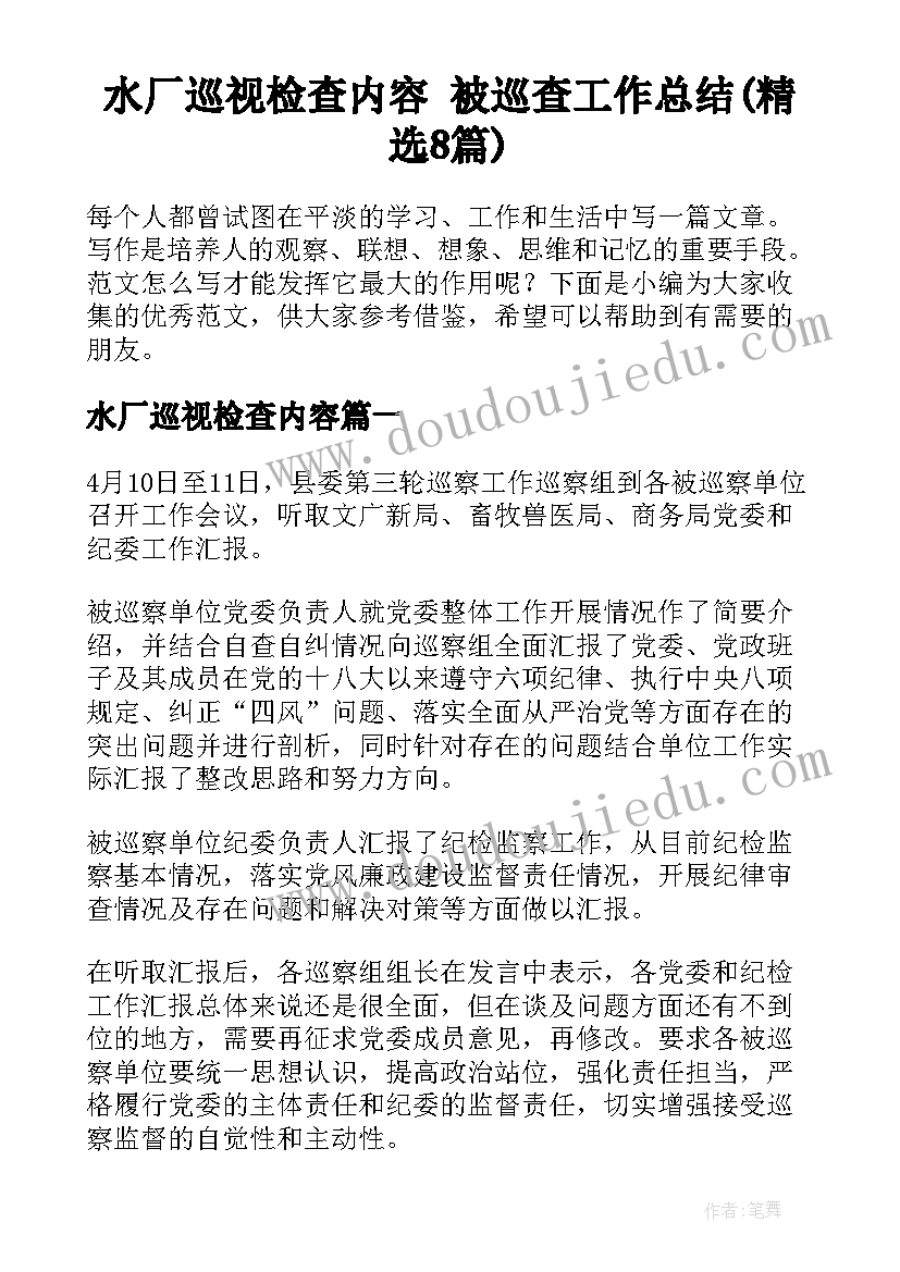 水厂巡视检查内容 被巡查工作总结(精选8篇)