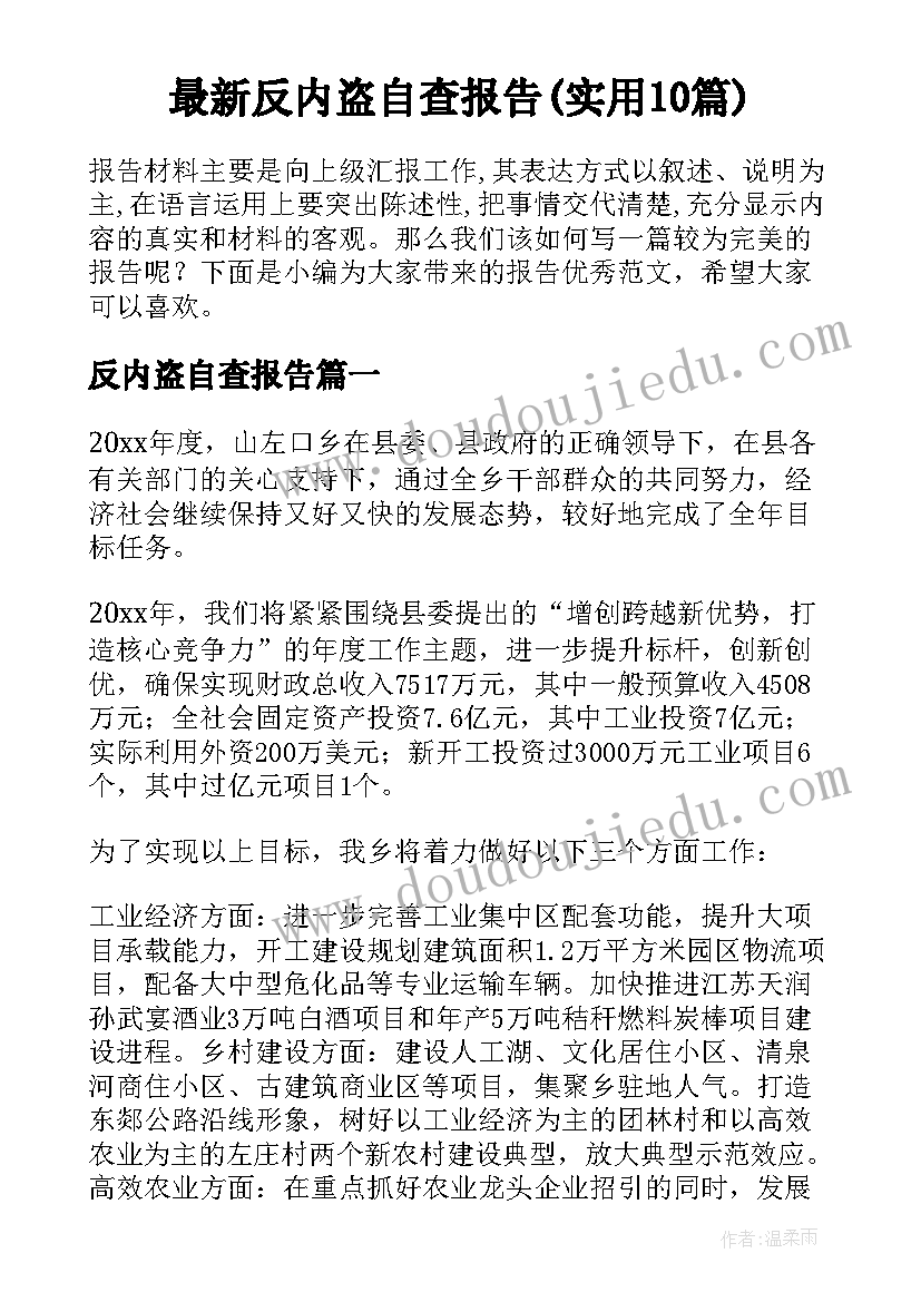 最新反内盗自查报告(实用10篇)