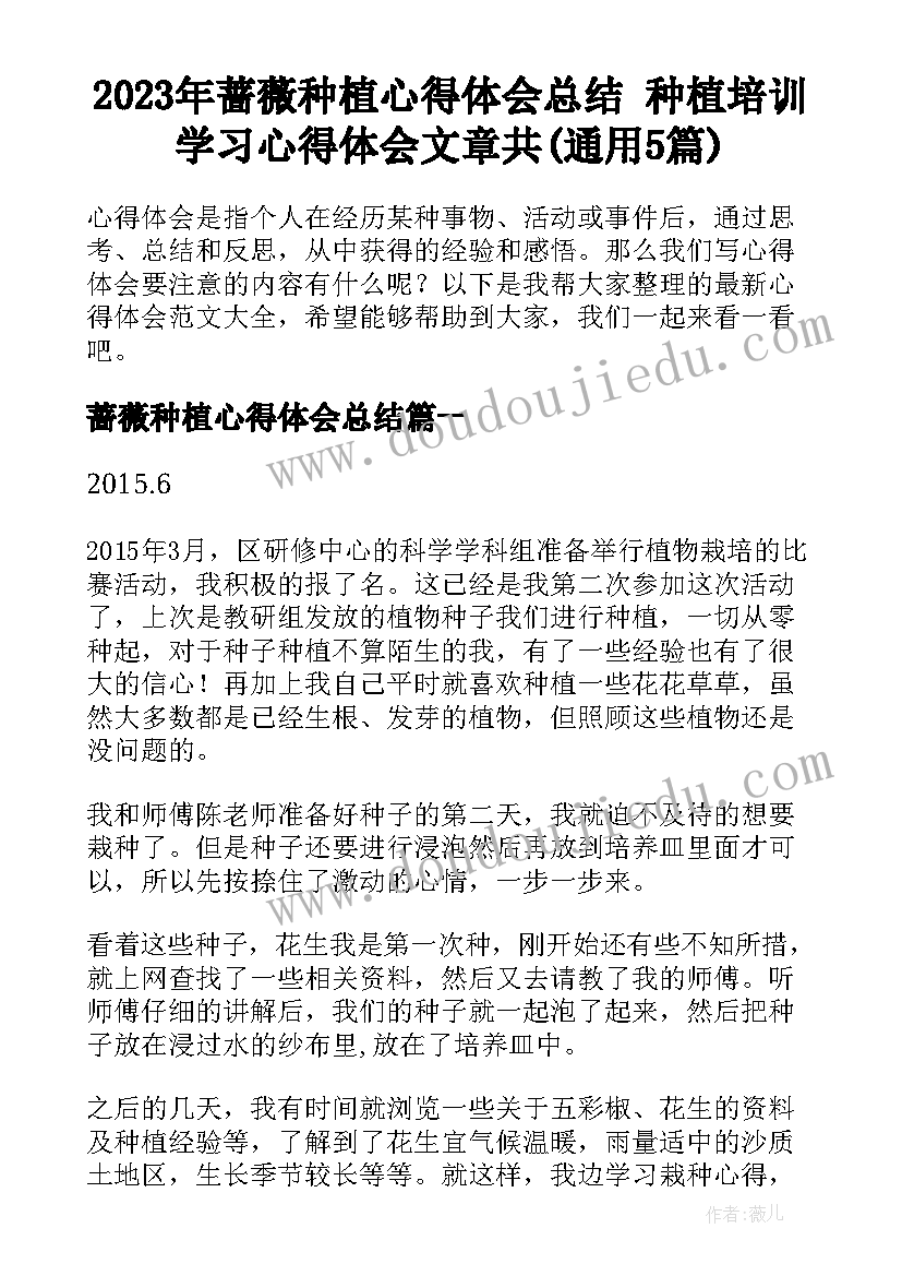 2023年蔷薇种植心得体会总结 种植培训学习心得体会文章共(通用5篇)