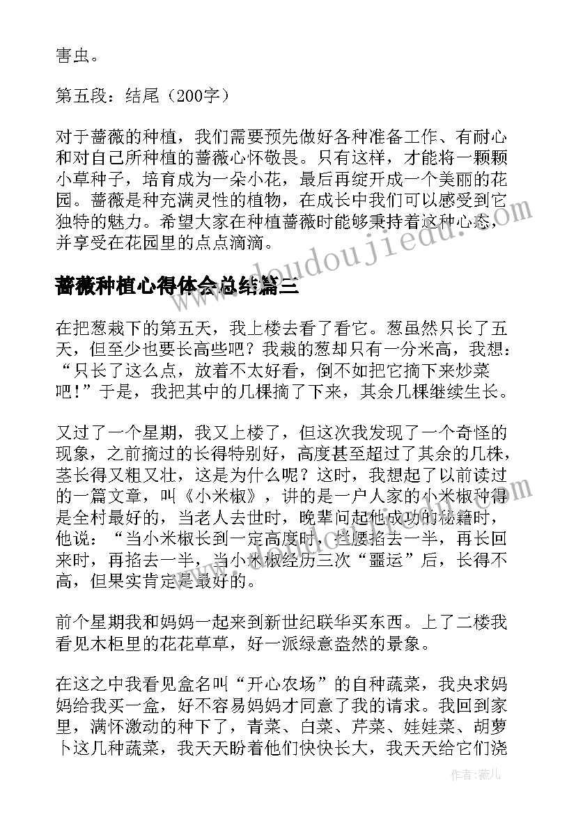 2023年蔷薇种植心得体会总结 种植培训学习心得体会文章共(通用5篇)