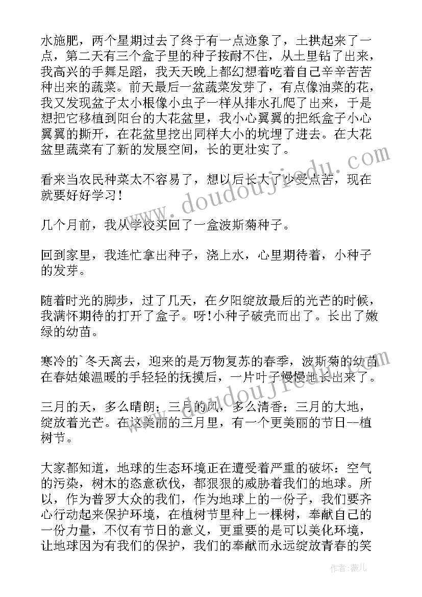 2023年蔷薇种植心得体会总结 种植培训学习心得体会文章共(通用5篇)