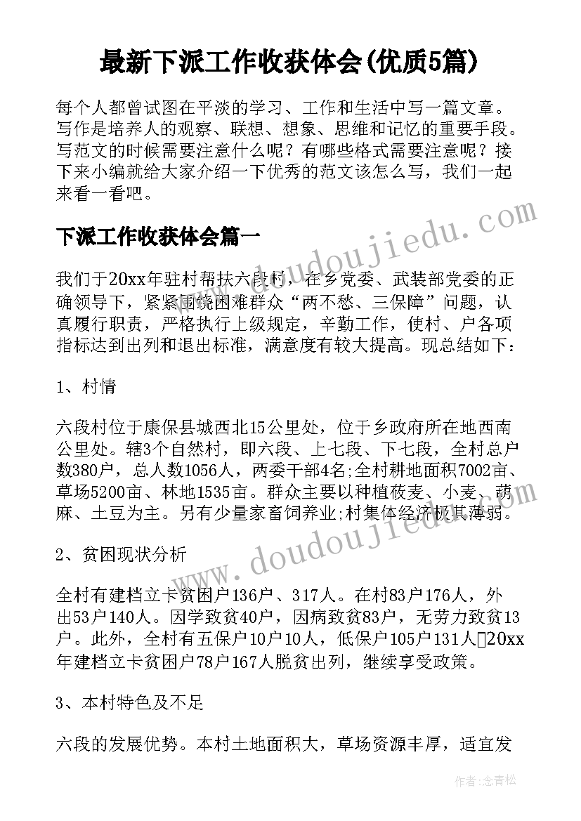 最新下派工作收获体会(优质5篇)