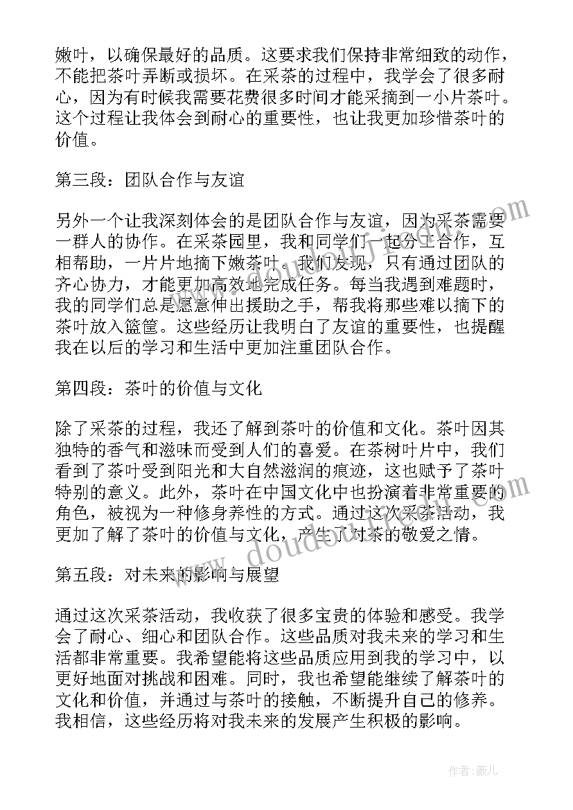 最新小学生采茶心得体会(大全5篇)