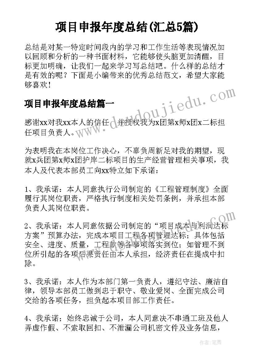 项目申报年度总结(汇总5篇)