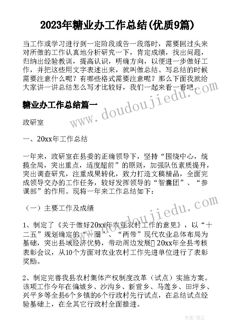 2023年糖业办工作总结(优质9篇)