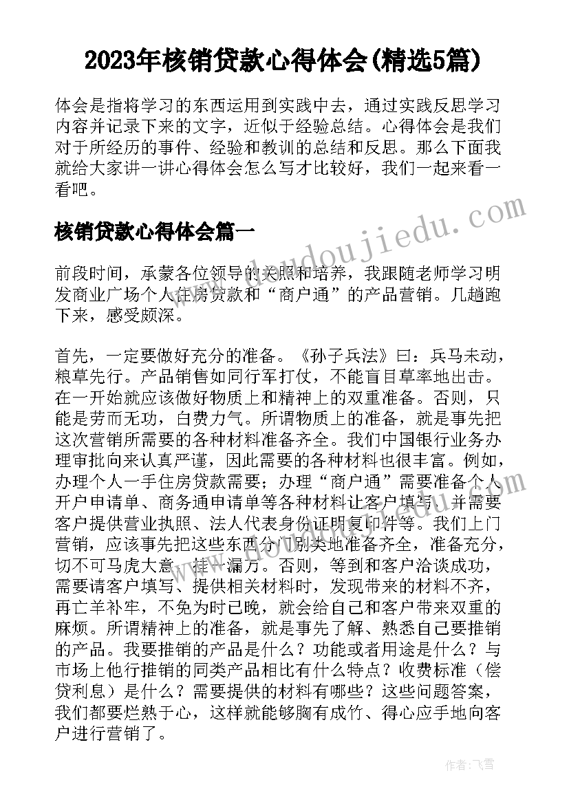 2023年核销贷款心得体会(精选5篇)