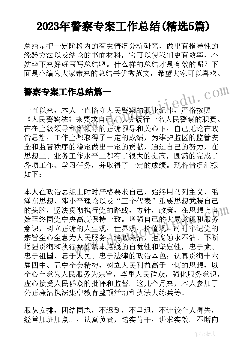 2023年警察专案工作总结(精选5篇)