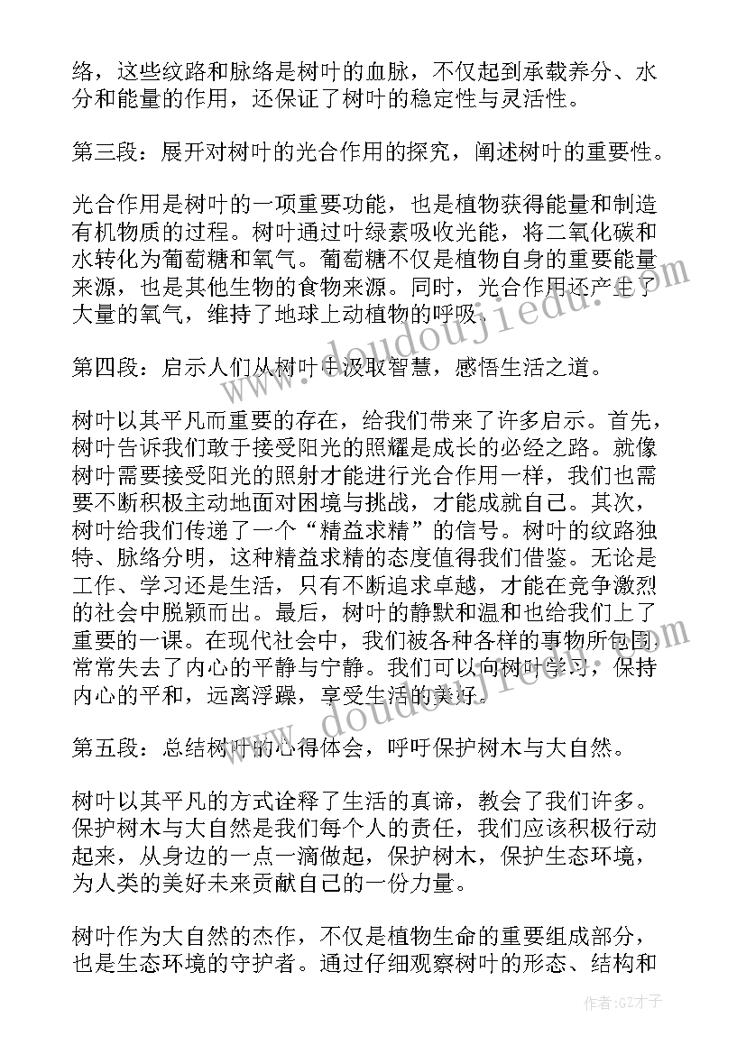 最新树叶画心得体会 树叶的心得体会(优质5篇)