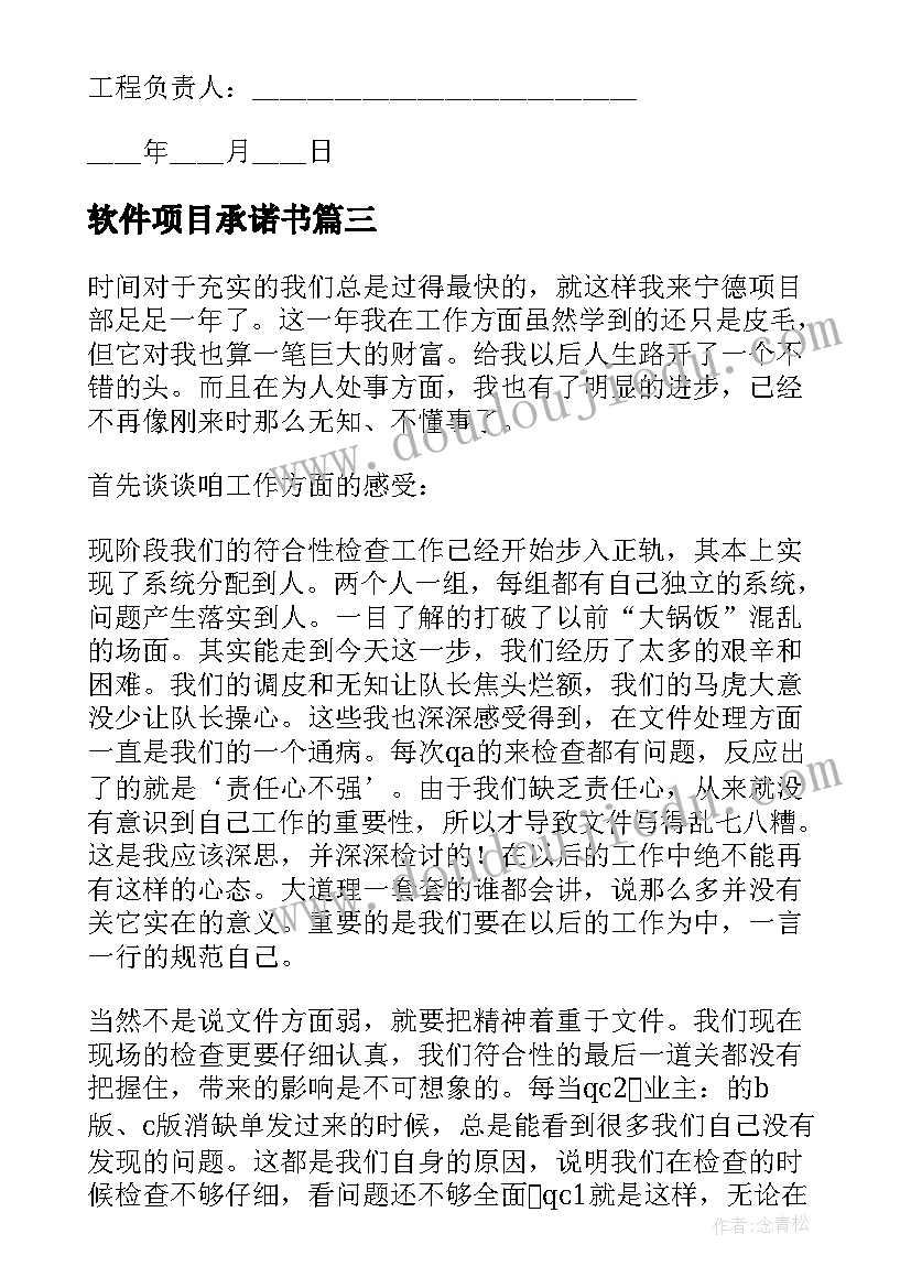 最新软件项目承诺书(大全5篇)