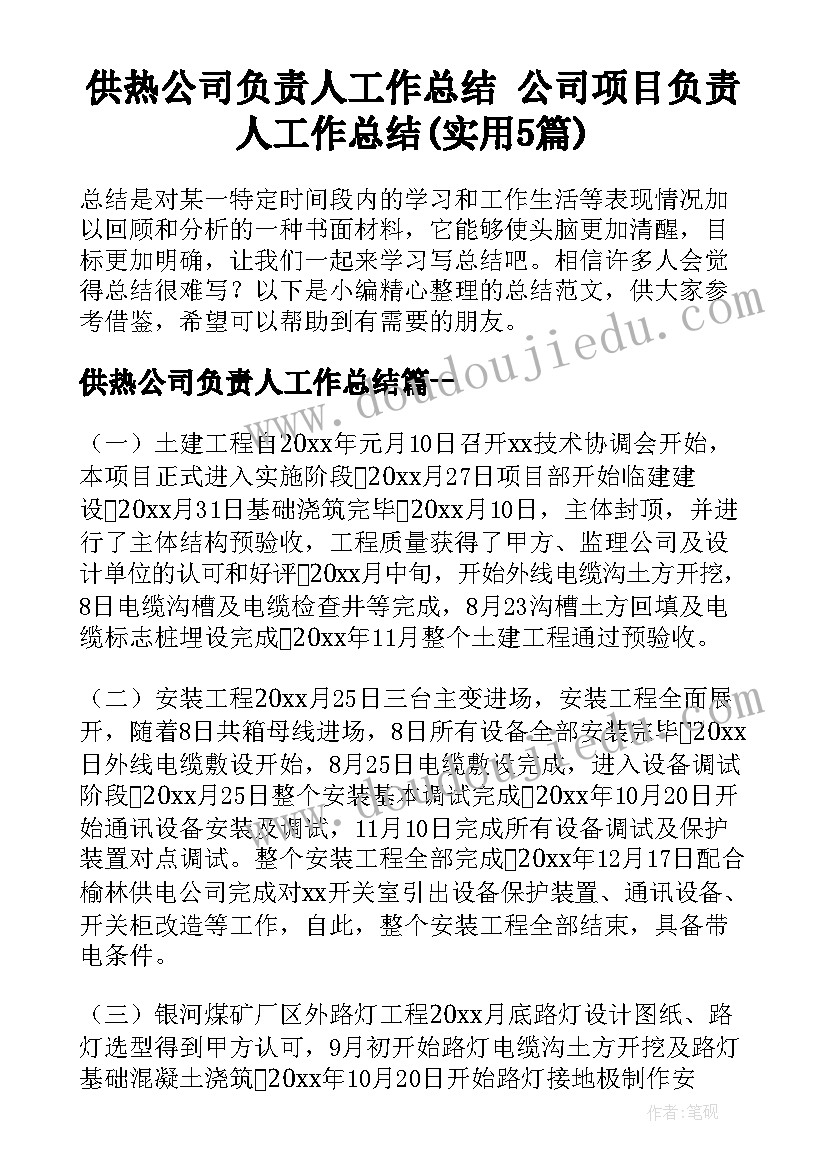 供热公司负责人工作总结 公司项目负责人工作总结(实用5篇)