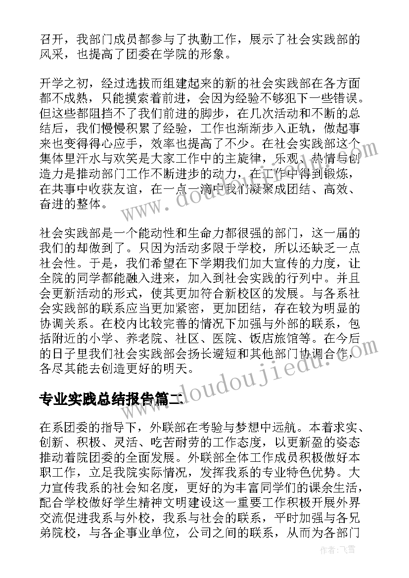 专业实践总结报告(实用9篇)