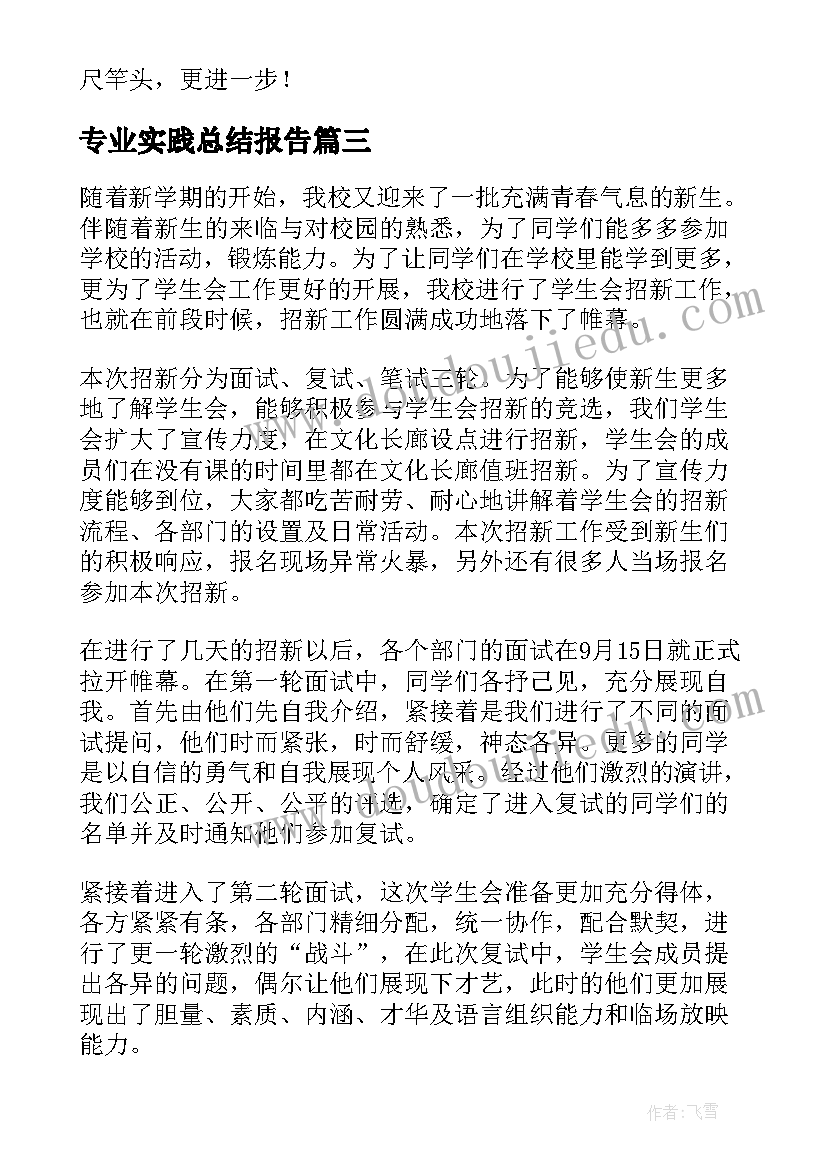 专业实践总结报告(实用9篇)