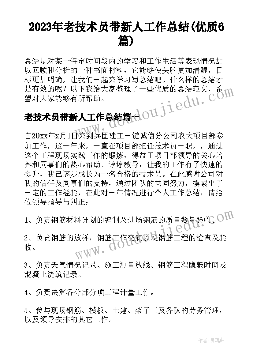 2023年老技术员带新人工作总结(优质6篇)