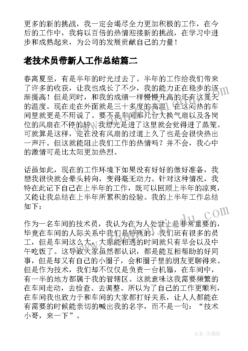 2023年老技术员带新人工作总结(优质6篇)