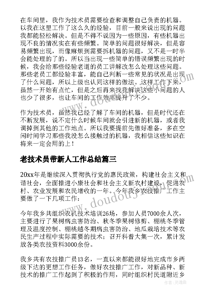 2023年老技术员带新人工作总结(优质6篇)