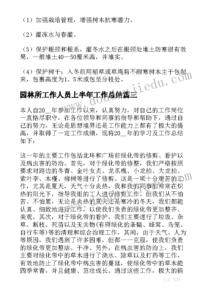 美术活动鸟窝教案及反思(通用5篇)