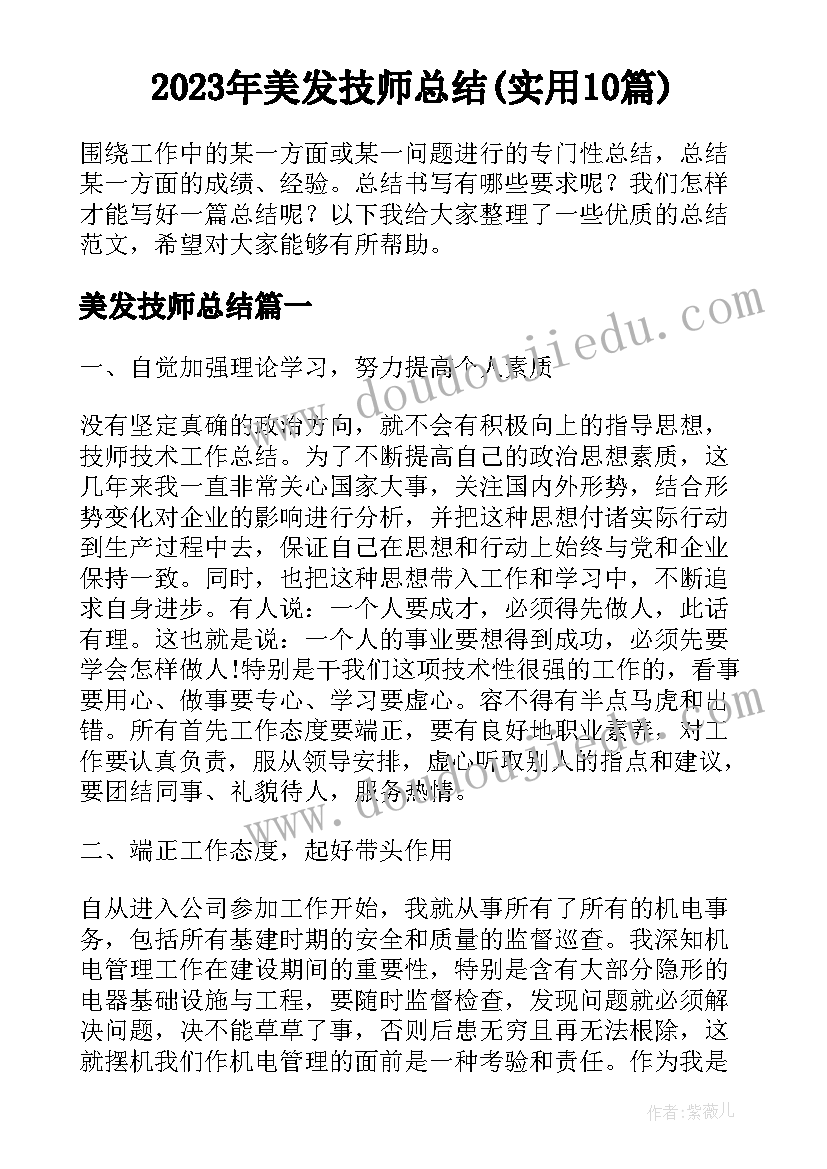 2023年美发技师总结(实用10篇)