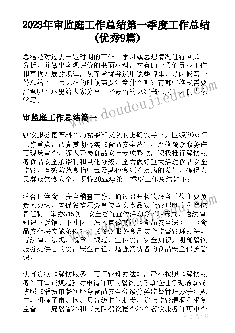 2023年审监庭工作总结 第一季度工作总结(优秀9篇)