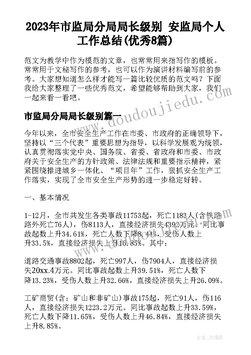 2023年市监局分局局长级别 安监局个人工作总结(优秀8篇)