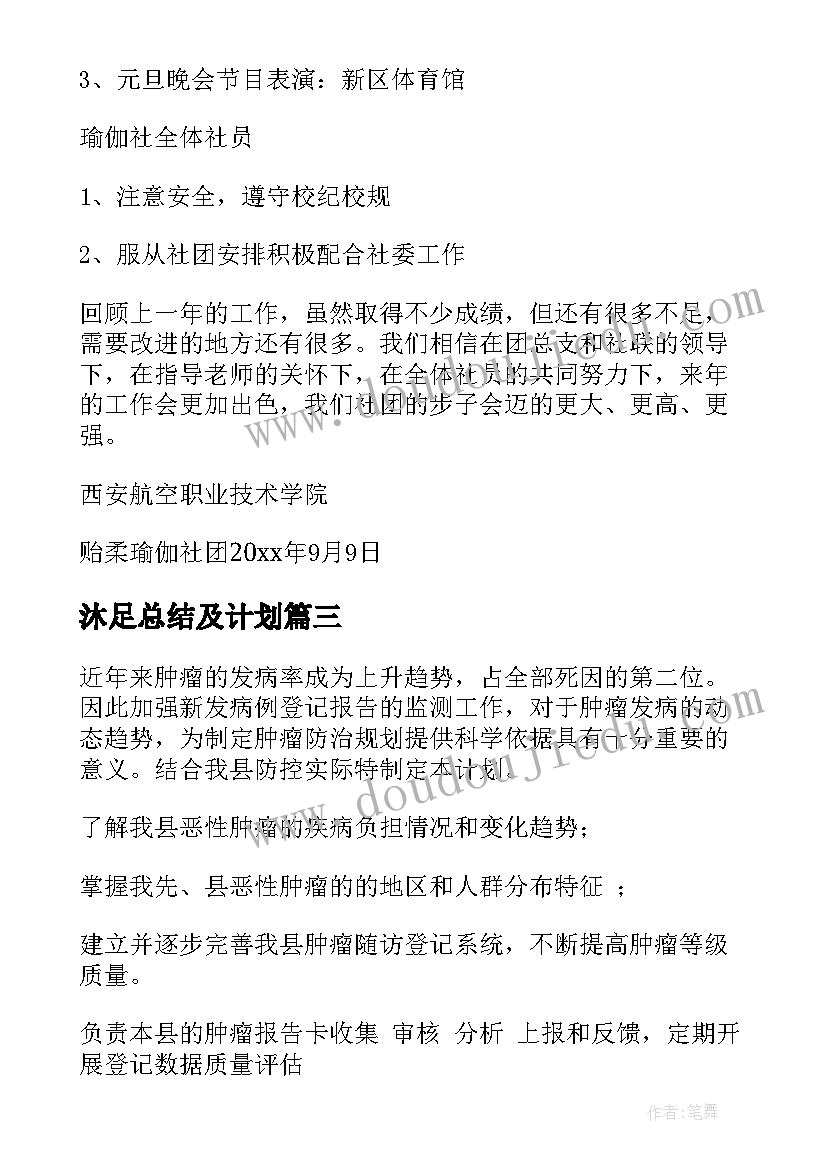 2023年沐足总结及计划(汇总5篇)