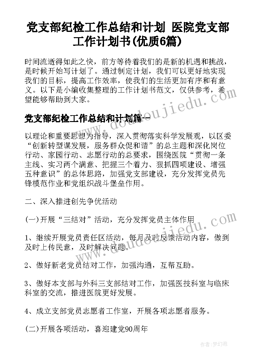 党支部纪检工作总结和计划 医院党支部工作计划书(优质6篇)