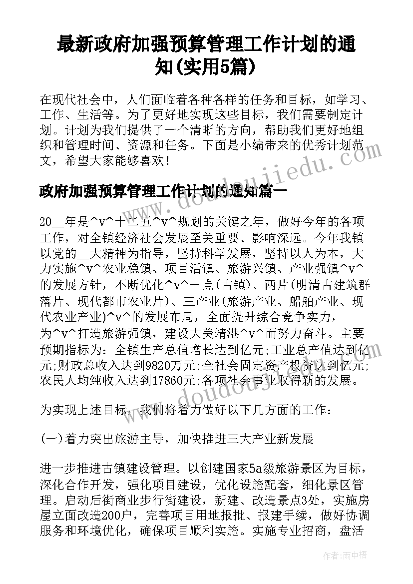 最新政府加强预算管理工作计划的通知(实用5篇)