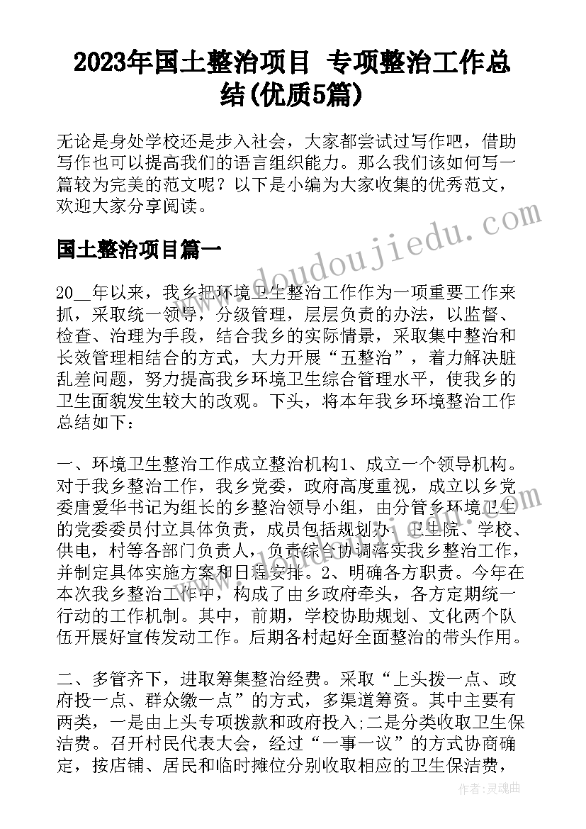 2023年国土整治项目 专项整治工作总结(优质5篇)