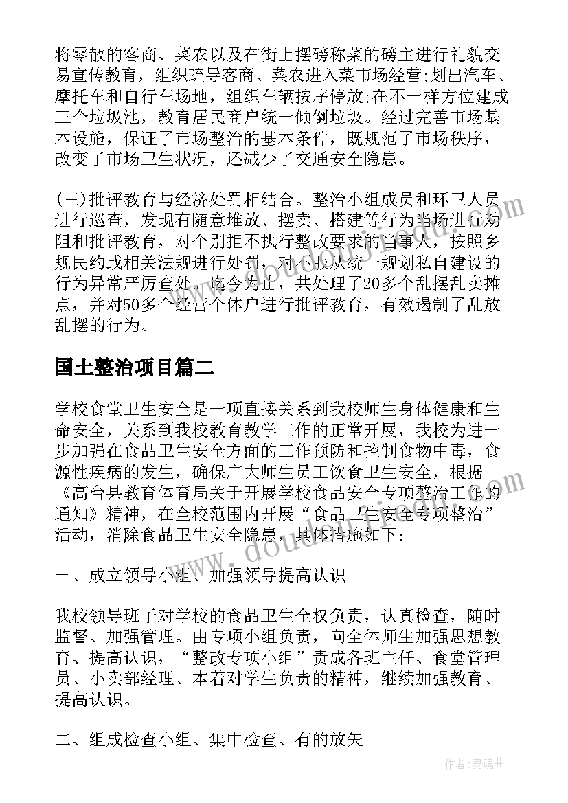 2023年国土整治项目 专项整治工作总结(优质5篇)