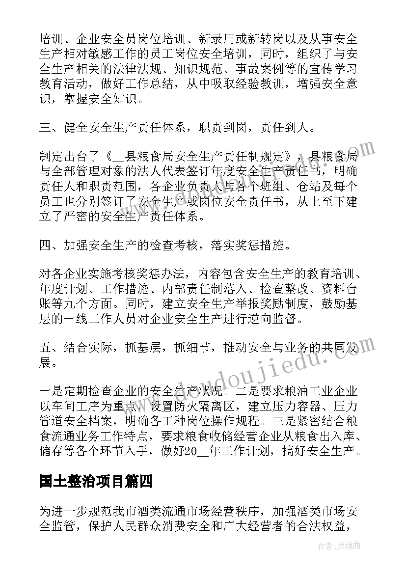 2023年国土整治项目 专项整治工作总结(优质5篇)