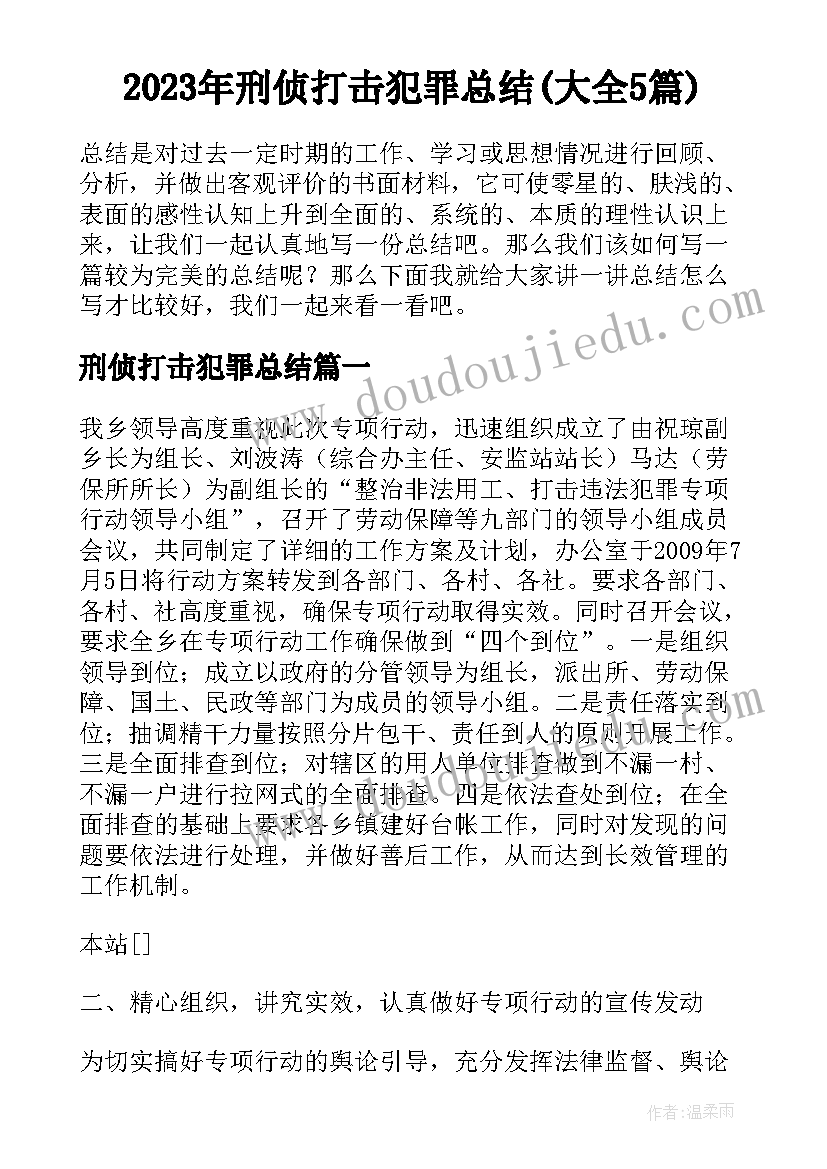 2023年刑侦打击犯罪总结(大全5篇)